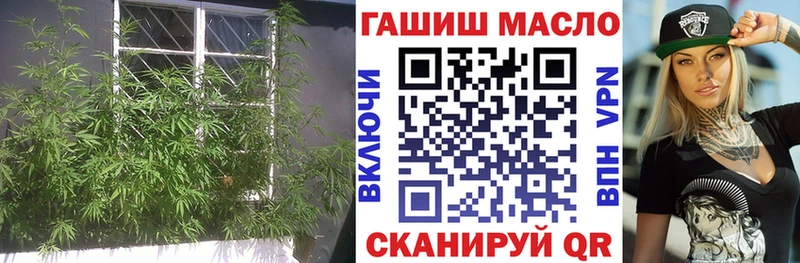 Купить где  Лахденпохья  ТГК вейп 
